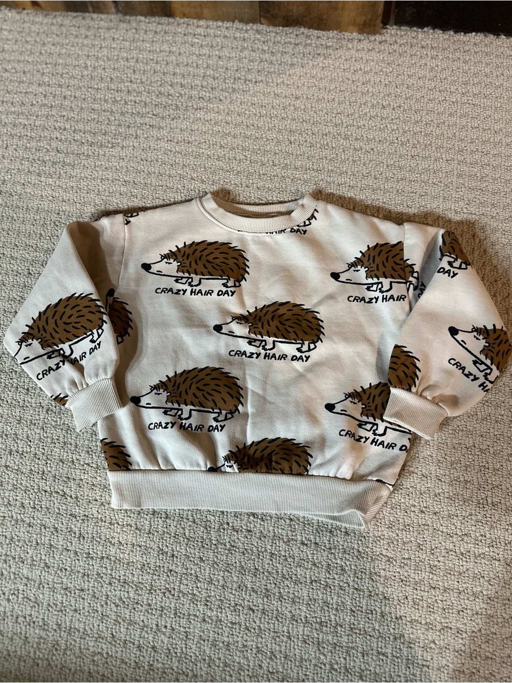 Zara Crazy Hair Day Sweatshirt
